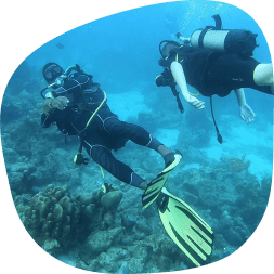 Plongée avec Alizée Plongée dans le parc Cousteau